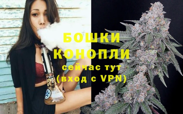 МДПВ Няндома
