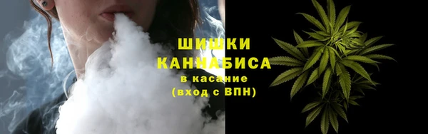 индика Абинск