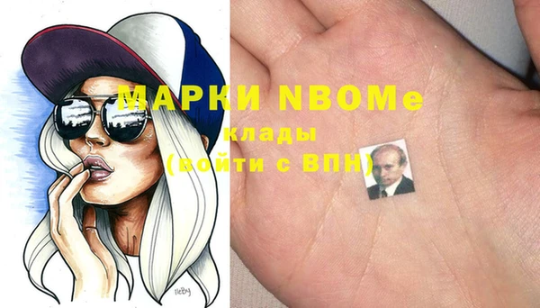 индика Абинск
