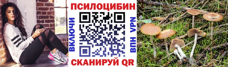 Галлюциногенные грибы GOLDEN TEACHER  Алейск 